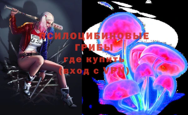 твердый Бронницы
