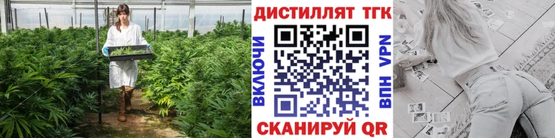 ТГК концентрат  ссылка на мегу зеркало  Киселёвск  где купить наркотик 