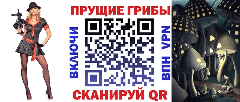 Галлюциногенные грибы Psilocybine cubensis Киселёвск